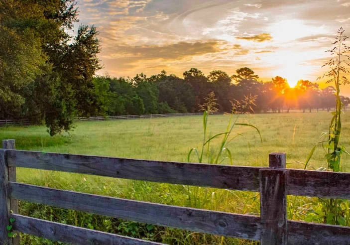 homeswithacreageforsale-al